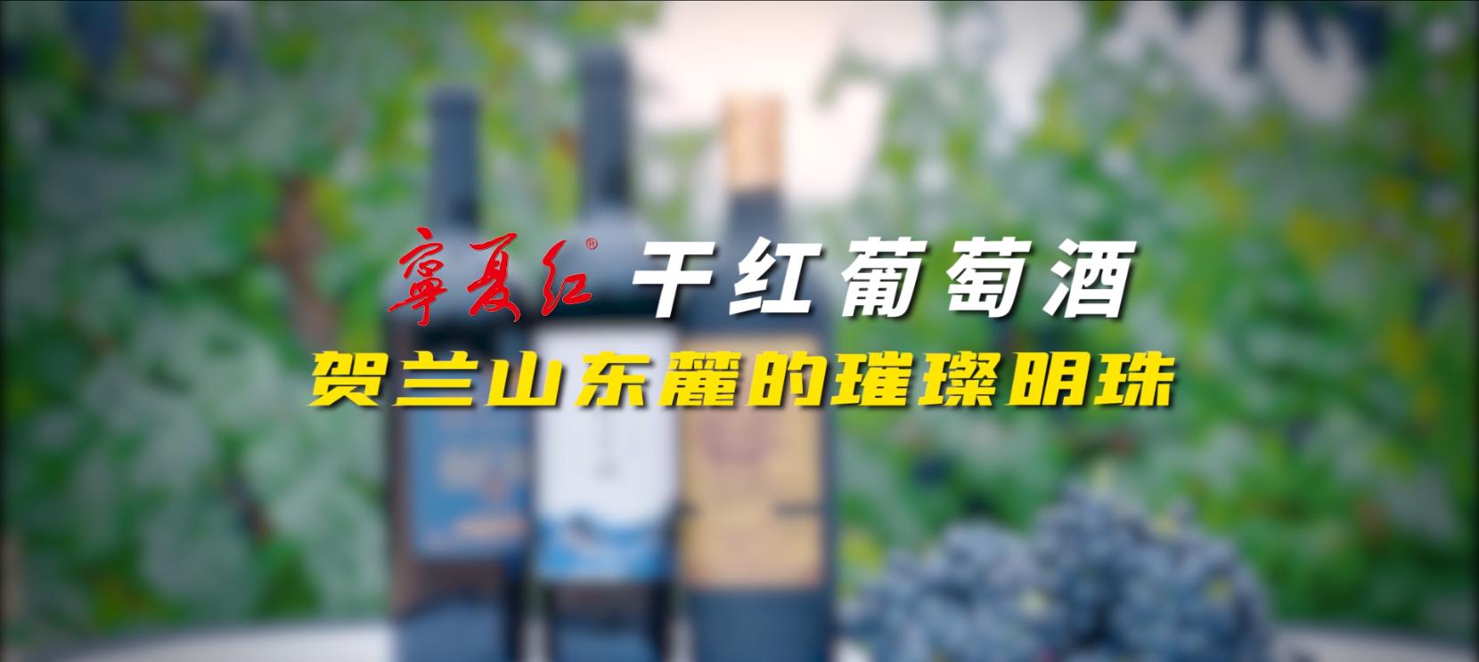 K8凯发干红葡萄酒系列